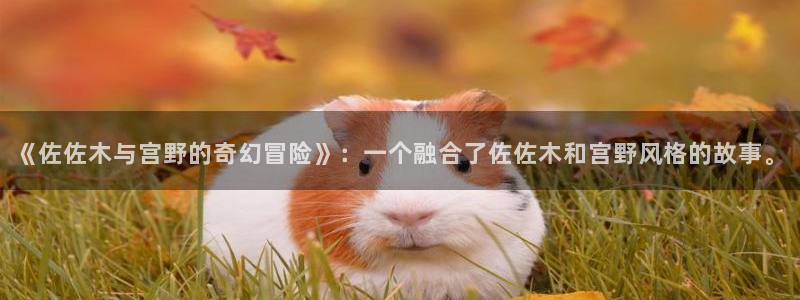 囧次元app官方入口