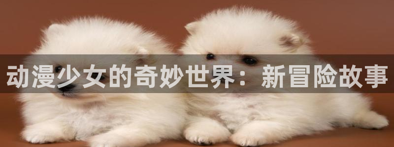 囧次元新版本下载
